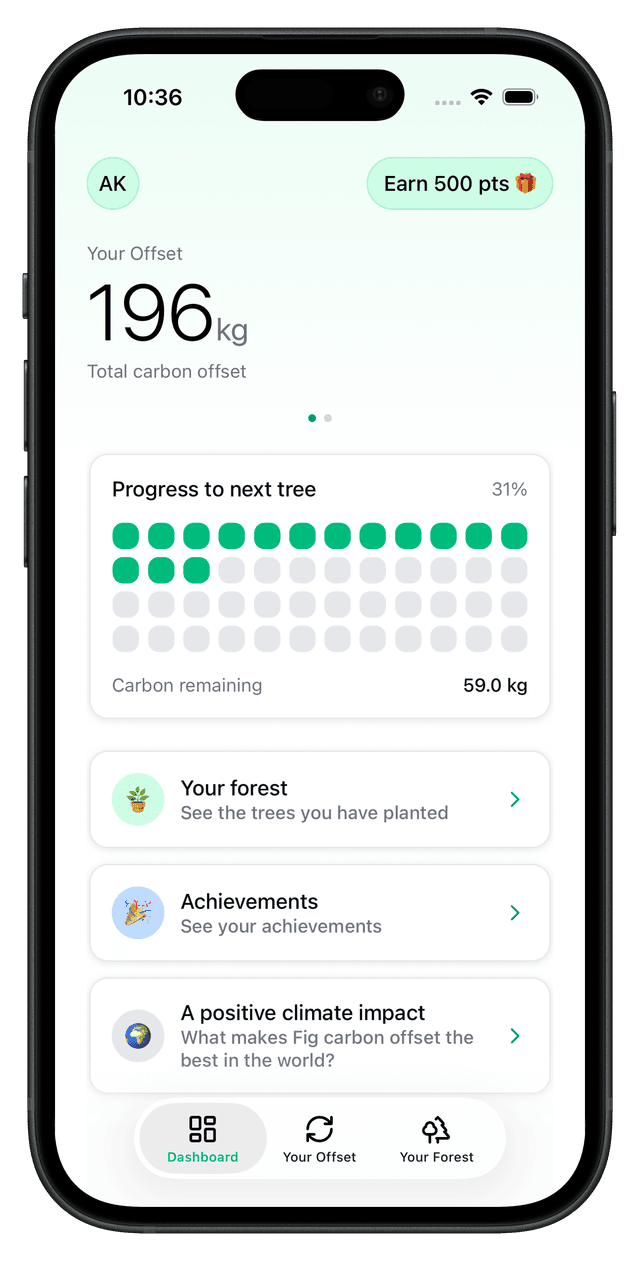 Preview of the Fig app dashboard
